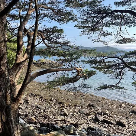 Fjord View Off-grid 캠프장 *